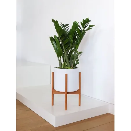 Etalage sokkel wit mat, 40 x 60 x 10 cm (lxbxh)