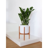 Etalage sokkel wit mat, 40 x 60 x 10 cm (lxbxh)