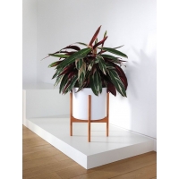 MDF witte sokkels | plantenzuilen | zuilen wit MDF zijdeglans