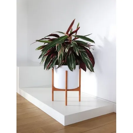 MDF witte sokkels | plantenzuilen | zuilen wit MDF zijdeglans