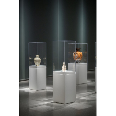 Plexiglas vitrinekap | plexiglas stolp | maquettekap op maat