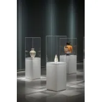 Plexiglas vitrinekap | plexiglas stolp | maquettekap op maat