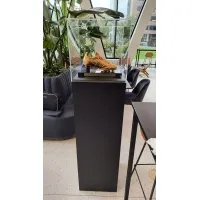 Plexiglas vitrinekap | plexiglas stolp | maquettekap op maat