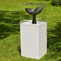 Plexiglas vitrinekap | plexiglas stolp | maquettekap op maat