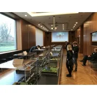 Plexiglas vitrinekap | plexiglas stolp | maquettekap op maat