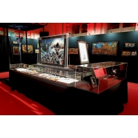 Plexiglas vitrinekap | plexiglas stolp | maquettekap op maat