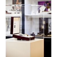 Plexiglas vitrinekap | plexiglas stolp | maquettekap op maat
