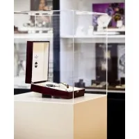 Plexiglas vitrinekap | plexiglas stolp | maquettekap op maat