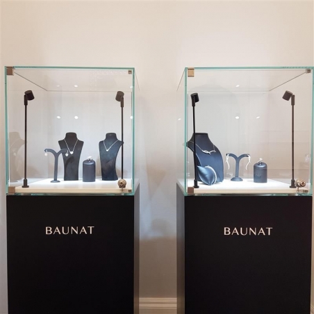 vitrine display deur