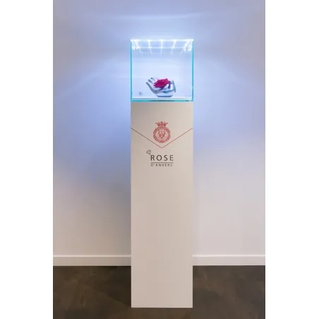 Glazen beschermkap met geintegreerde LED-verlichting