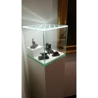 Glazen beschermkap met geintegreerde LED-verlichting