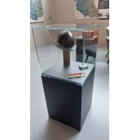 Sokkel met beschermkap en LED - combinatiesokkel