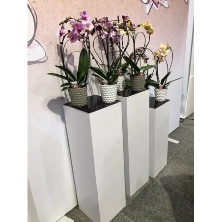 Vitrine LED-verlichting & Sokkel Accessoires