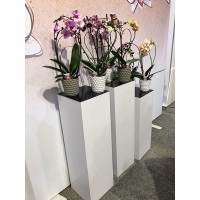 Vitrine LED-verlichting & Sokkel Accessoires