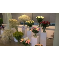 Vitrine LED-verlichting & Sokkel Accessoires