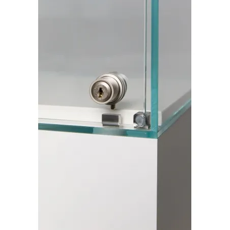 vitrine display deur