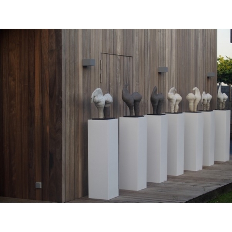 Vitrine LED-verlichting & Sokkel Accessoires