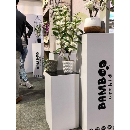 Vitrine LED-verlichting & Sokkel Accessoires