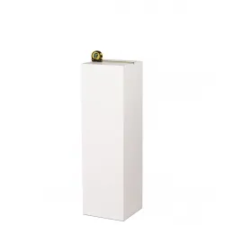 witte sokkels | plantenzuilen | zuilen wit